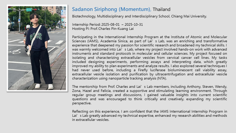 placeholder image wide